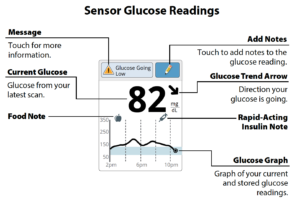 is freestyle libre reading accurate