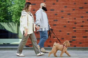 Couple walking dog for gentle exercise for type 2 diabetes