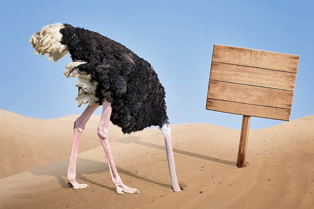 Ostrich with its head in the sand, representing someone ignoring a problem