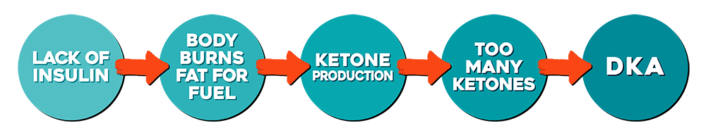 illustration of how the diabetic ketoacidosis process occurs