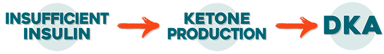 Description of how DKA happens, from insufficient insulin to ketone production to DKA