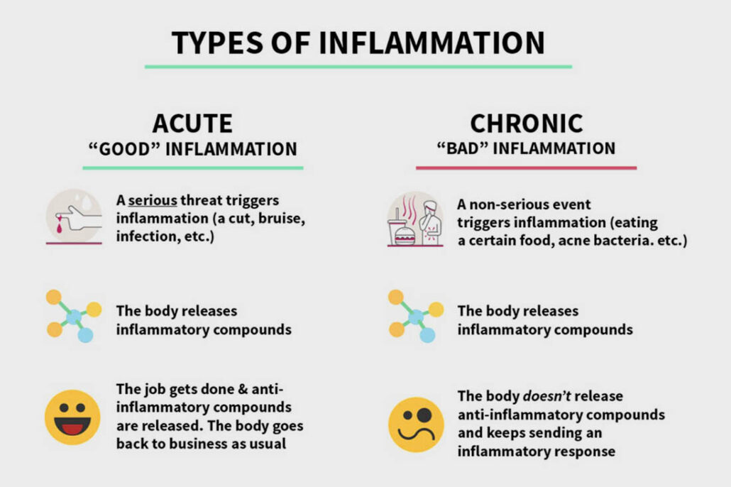 description of the difference between acute inflammation vs chronic inflammation