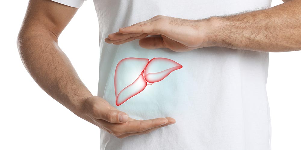 Man holding his hands over a drawing of a liver, showing where it would be on his body