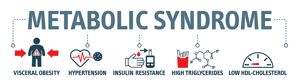 a list of the causes of metabolic syndrome, including visceral obesity, hypertension, insulin resistance, high triglycerides, and low HDL cholesterol
