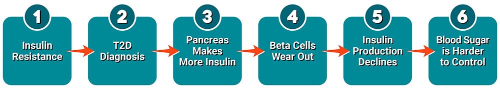 The natural progression of type 2 diabetes starts with insulin resistance advances until blood sugar is harder to control
